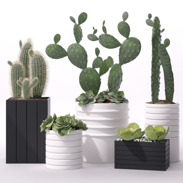 Contemporary plant set 3
