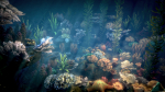 Corals 2 and plants