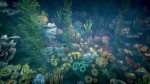 Corals 2 and plants