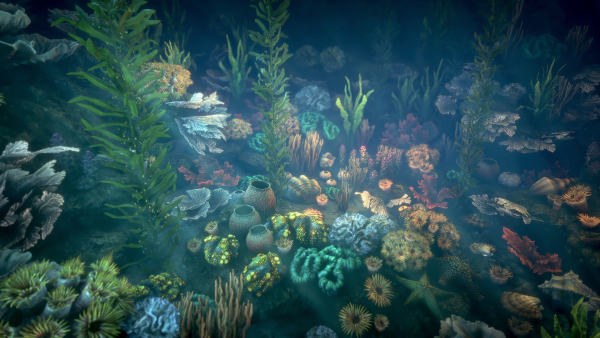 Corals 2 and plants