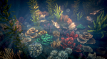 Corals 2 and plants