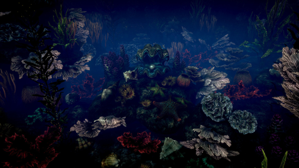 Corals 2 and plants