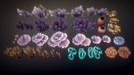 Corals 2 and plants