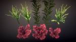 Corals 2 and plants
