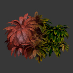Cordyline fruticosa plants vol 209-Blender