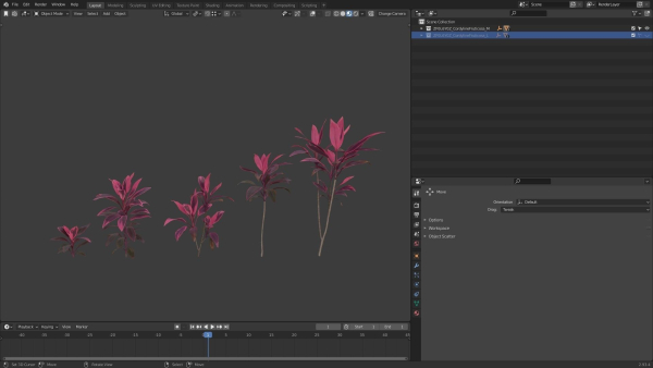Cordyline Fruticosa VFX Grace