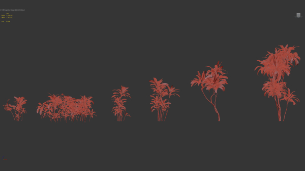 Cordyline rubra palm lily