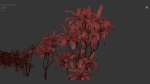 Cordyline rubra palm lily