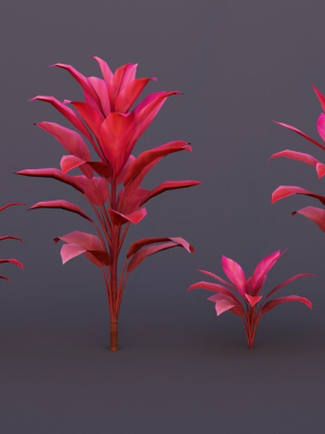 cordylinefruticosa-3d-model-low-poly-obj-fbx