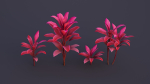 CordylineFruticosa group of plants