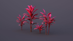 CordylineFruticosa group of plants