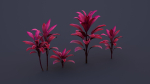 CordylineFruticosa group of plants