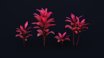CordylineFruticosa group of plants