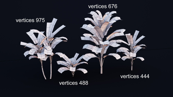 CordylineFruticosa group of plants