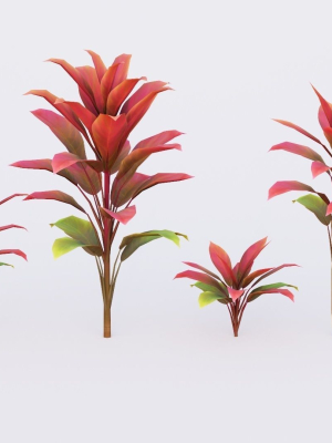 cordylinefruticosa-color2-3d-model-low-poly-obj-fbx
