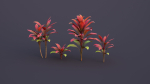 CordylineFruticosa Color2