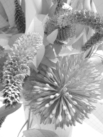 Corporate Flowers 3