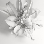Corporate Flowers