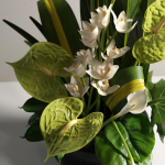 Corporate Flowers