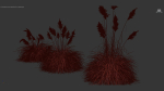 Cortaderia selloana Pampas grass 3D Model 03
