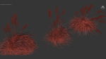 Cortaderia selloana Pampas grass 3D Model 03