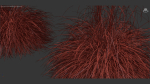 Cortaderia selloana Pampas grass 3D Model 03