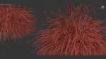 Cortaderia selloana Pampas grass 3D Model 03