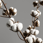 Cotton and candles