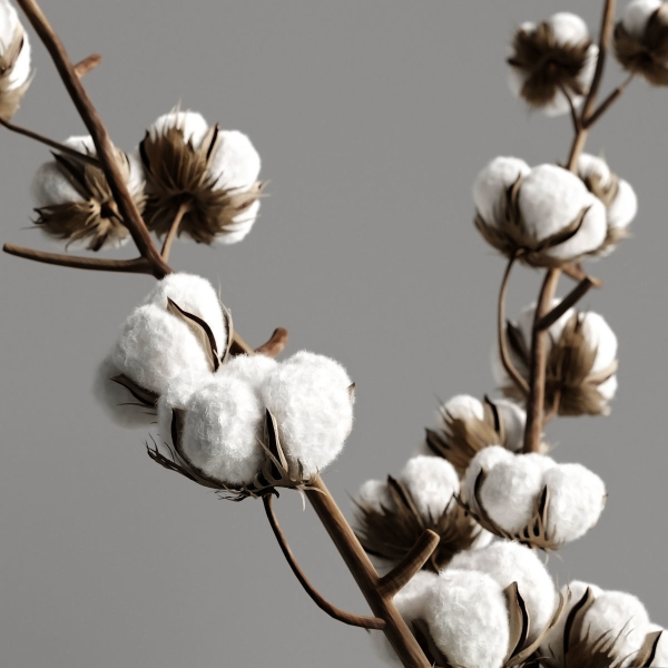Cotton and candles