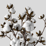 Cotton in a jug
