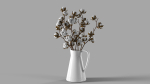 Cotton in a jug