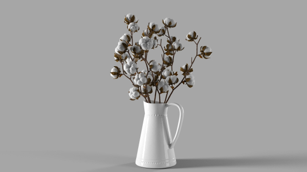 Cotton in a jug