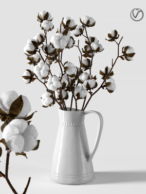 Cotton in a jug