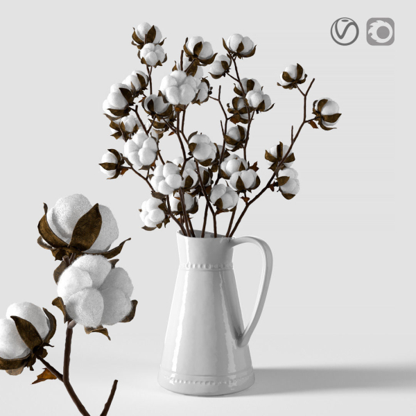 Cotton in a jug