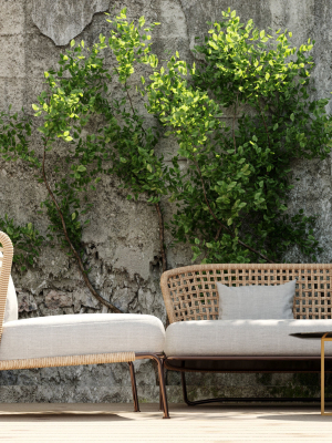 Courtyard scene Outdoor plant sofa