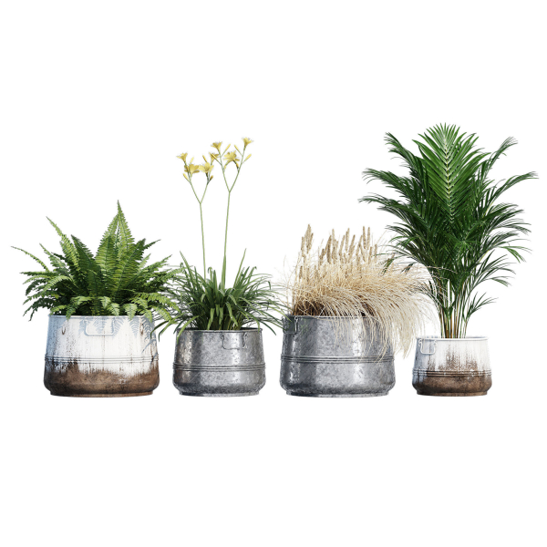 Cowden two metal planters