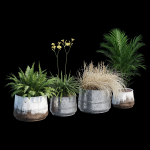 Cowden two metal planters