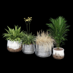 Cowden two metal planters