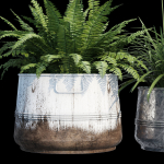Cowden two metal planters