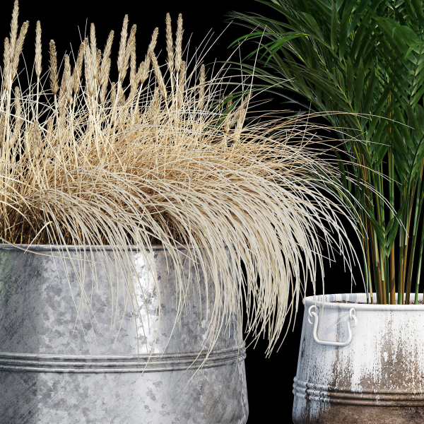 Cowden two metal planters