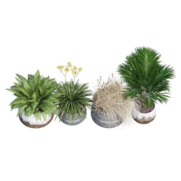 Cowden two metal planters