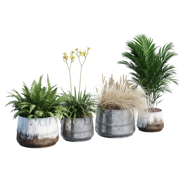 Cowden two metal planters