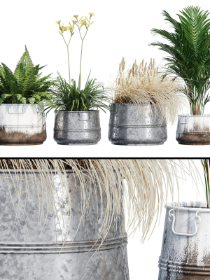 Cowden two metal planters