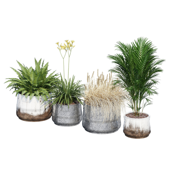 Cowden two metal planters