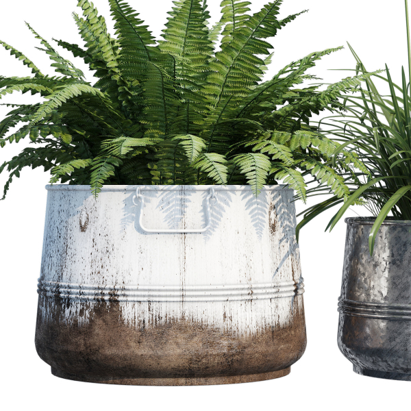 Cowden two metal planters