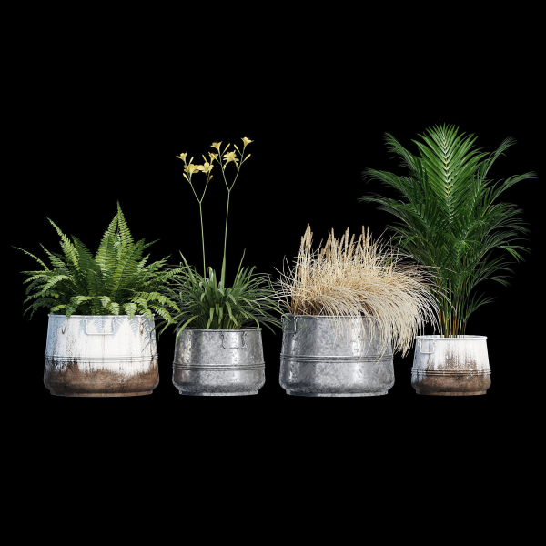 Cowden two metal planters