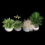 Cowden two metal planters