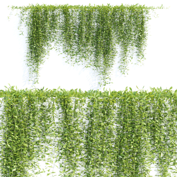 Creeper plants for wall collection vol 144