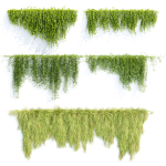 Creeper plants for wall collection vol 144