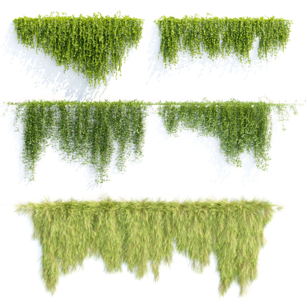 Creeper plants for wall collection vol 144